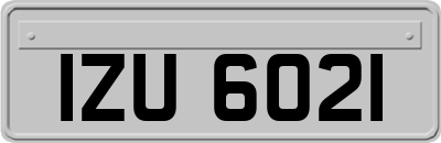 IZU6021