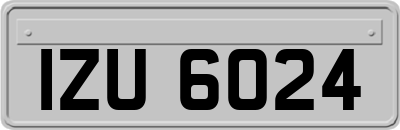 IZU6024
