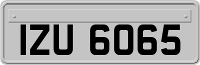 IZU6065