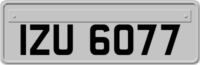 IZU6077