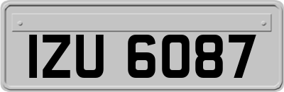 IZU6087