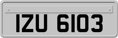 IZU6103