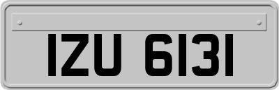 IZU6131