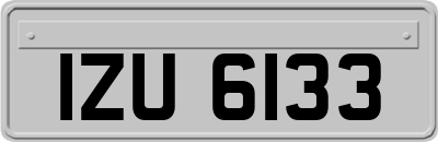 IZU6133