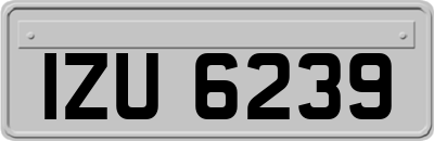 IZU6239
