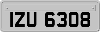 IZU6308