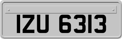 IZU6313