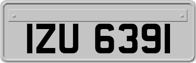 IZU6391