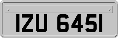 IZU6451