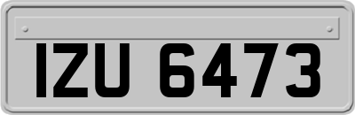 IZU6473