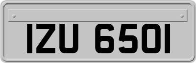 IZU6501