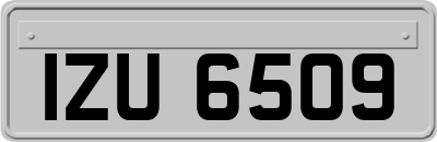 IZU6509