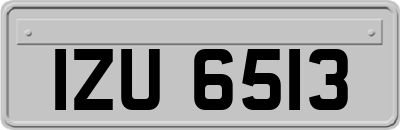 IZU6513