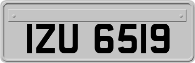 IZU6519