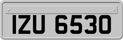 IZU6530