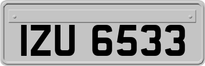 IZU6533