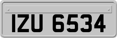 IZU6534
