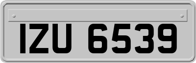 IZU6539