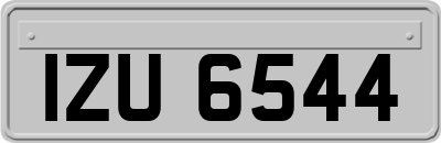 IZU6544