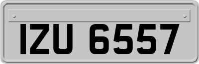 IZU6557