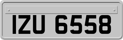 IZU6558