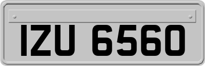 IZU6560
