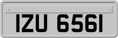 IZU6561