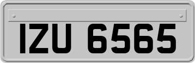 IZU6565