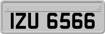IZU6566