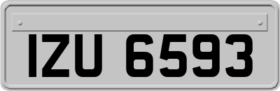 IZU6593