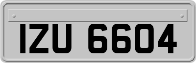 IZU6604
