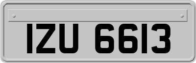 IZU6613