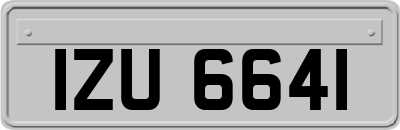 IZU6641