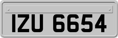 IZU6654