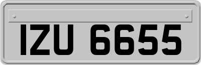 IZU6655