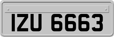 IZU6663