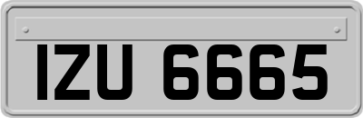 IZU6665