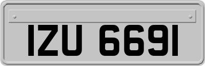 IZU6691