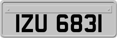 IZU6831