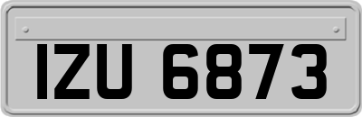 IZU6873