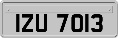 IZU7013