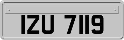 IZU7119