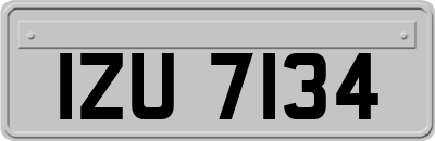 IZU7134