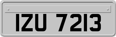 IZU7213