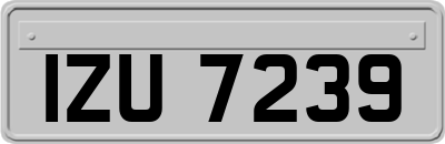 IZU7239