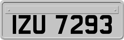 IZU7293