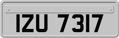 IZU7317