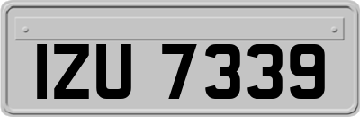 IZU7339