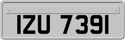 IZU7391
