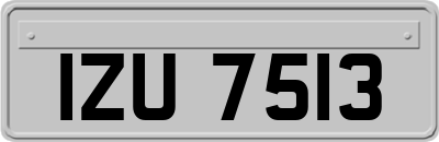 IZU7513